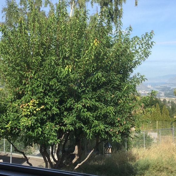 Meet your Posher, Susanne - Picture 1 of 1